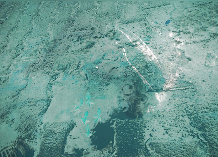 imagen 25. janyce oliveira